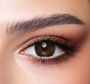Bella One Day lenses Cedar