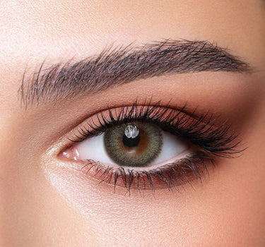 Bella One Day lenses Pine