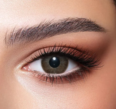 Bella One Day lenses Star