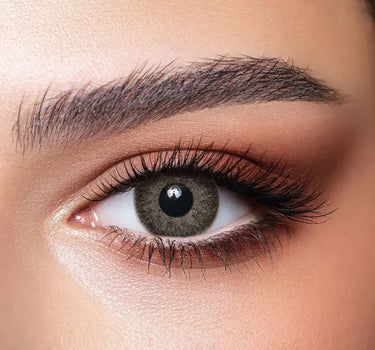 Bella One Day lenses Garnet