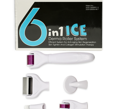 SQY 6 in 1 Ice Derma Roller System