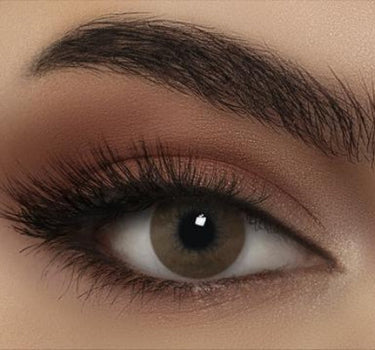 Bella Highlight Circle Brown Bhcib