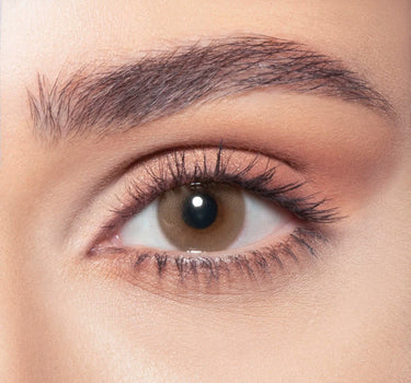 Bella One Day lenses Mars