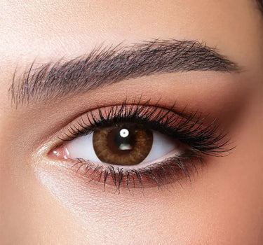 Bella One Day lenses Venus